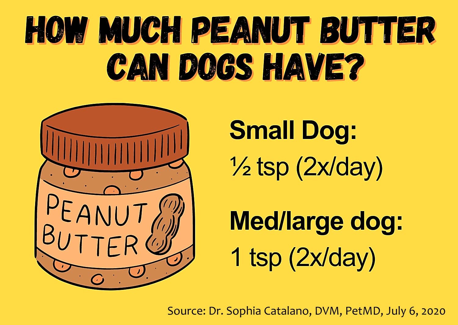 Can Dogs Eat Peanut Butter? - Parade Pets